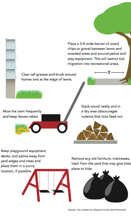 Create a Tick-Free Zone in Your Backyard