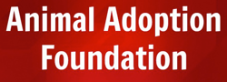 Animal Adoption Foundation