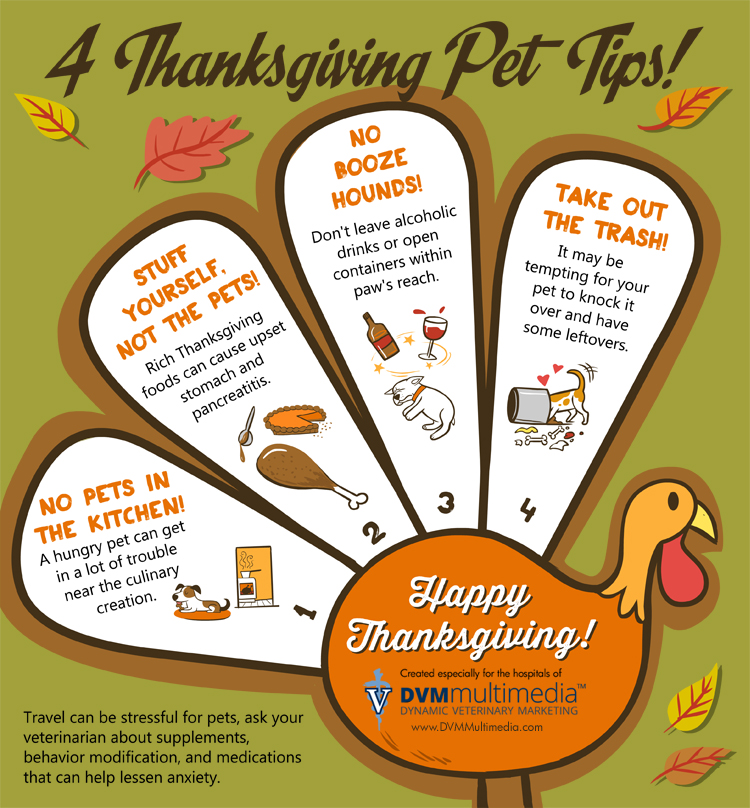 4 Thanksgiving Pet Tips