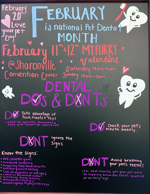 February is for Love (and Dental Health!)