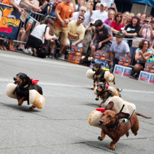 Get in the Oktoberfest Spirit with the Running of the Weiners!