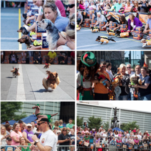 Get in the Oktoberfest Spirit with the Running of the Weiners!