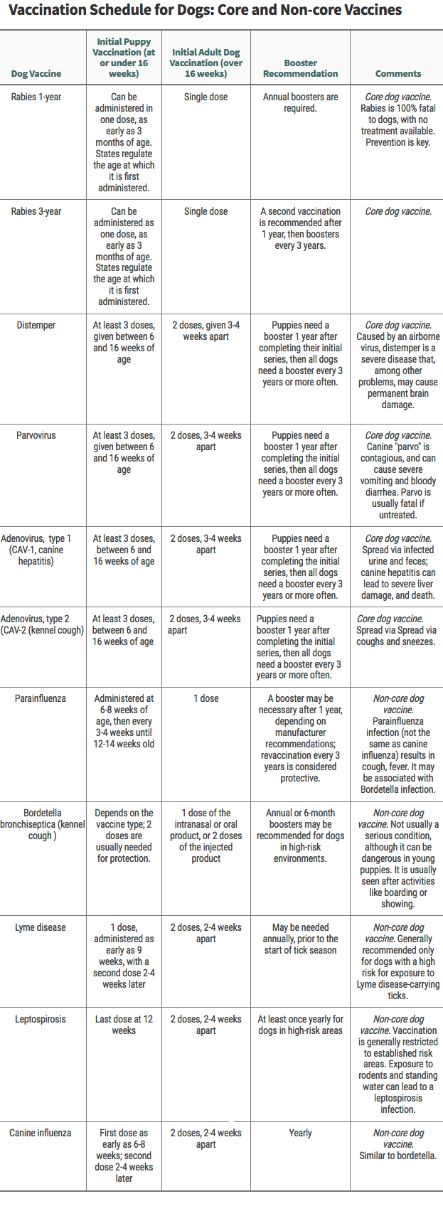 Vaccination Schedule for Dogs