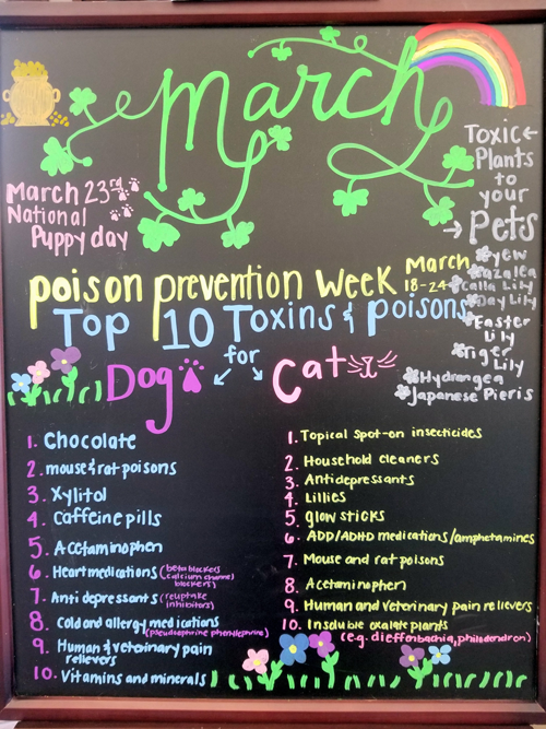 Poison Prevention in March