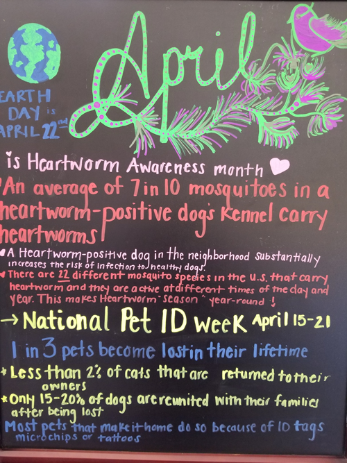 heartworm awareness month