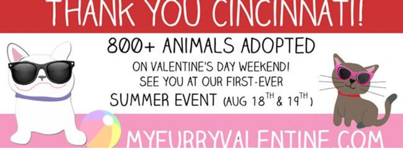 Mark Your Dog's Calendar with 3 Awesome Summer Events