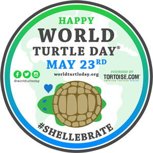 Shellebrate World Turtle Day!