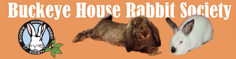 Buckeye House Rabbit Society