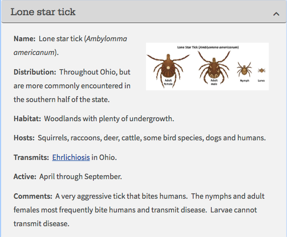 Ohio Ticks