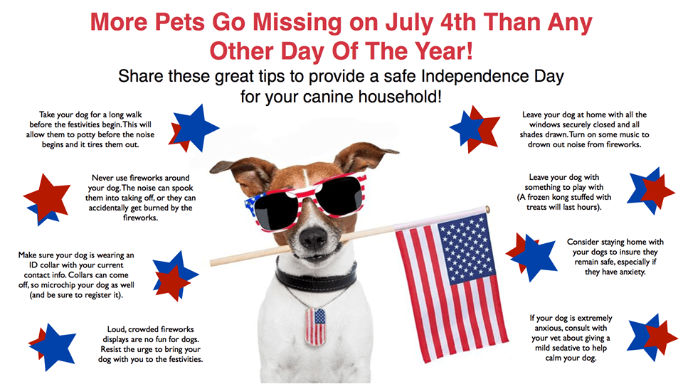 More Pets Go Missing on July 4th than Any Other Day of the Year