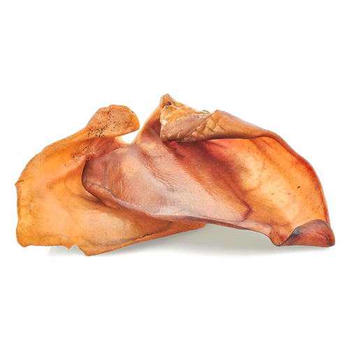 Throw Out Your Dog's Pig Ear Chews: Salmonella Danger