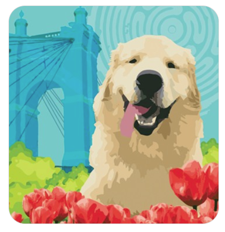 Contest: Cincinnati Parks Seeks to Crown a Doggie Mascot