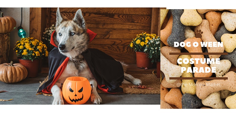 2021 Halloween Events: Fall Fun with Your Pets