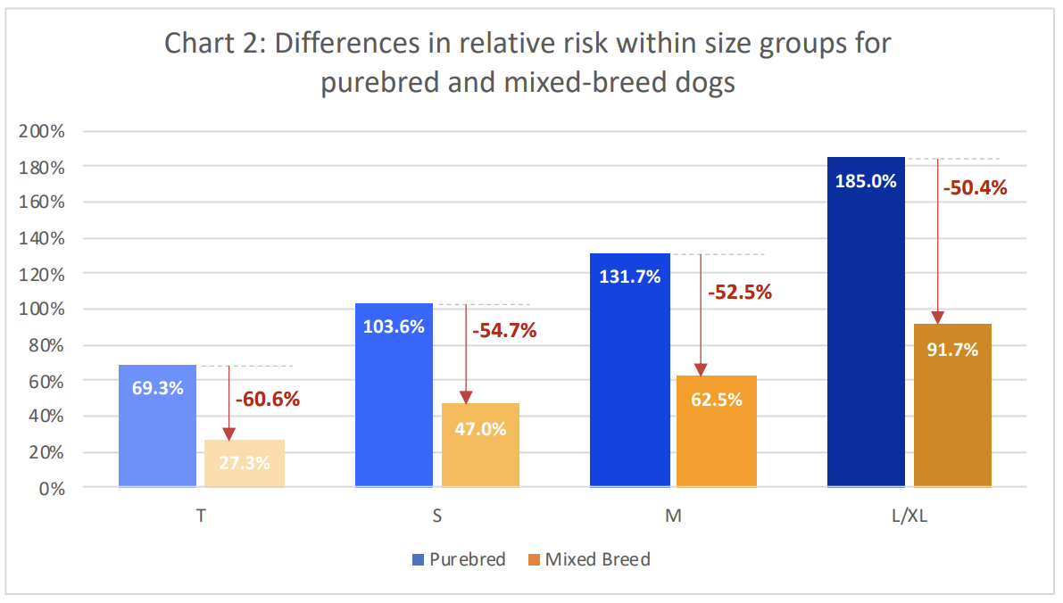 Cancer in Dogs: Large Dogs Face Higher Risk