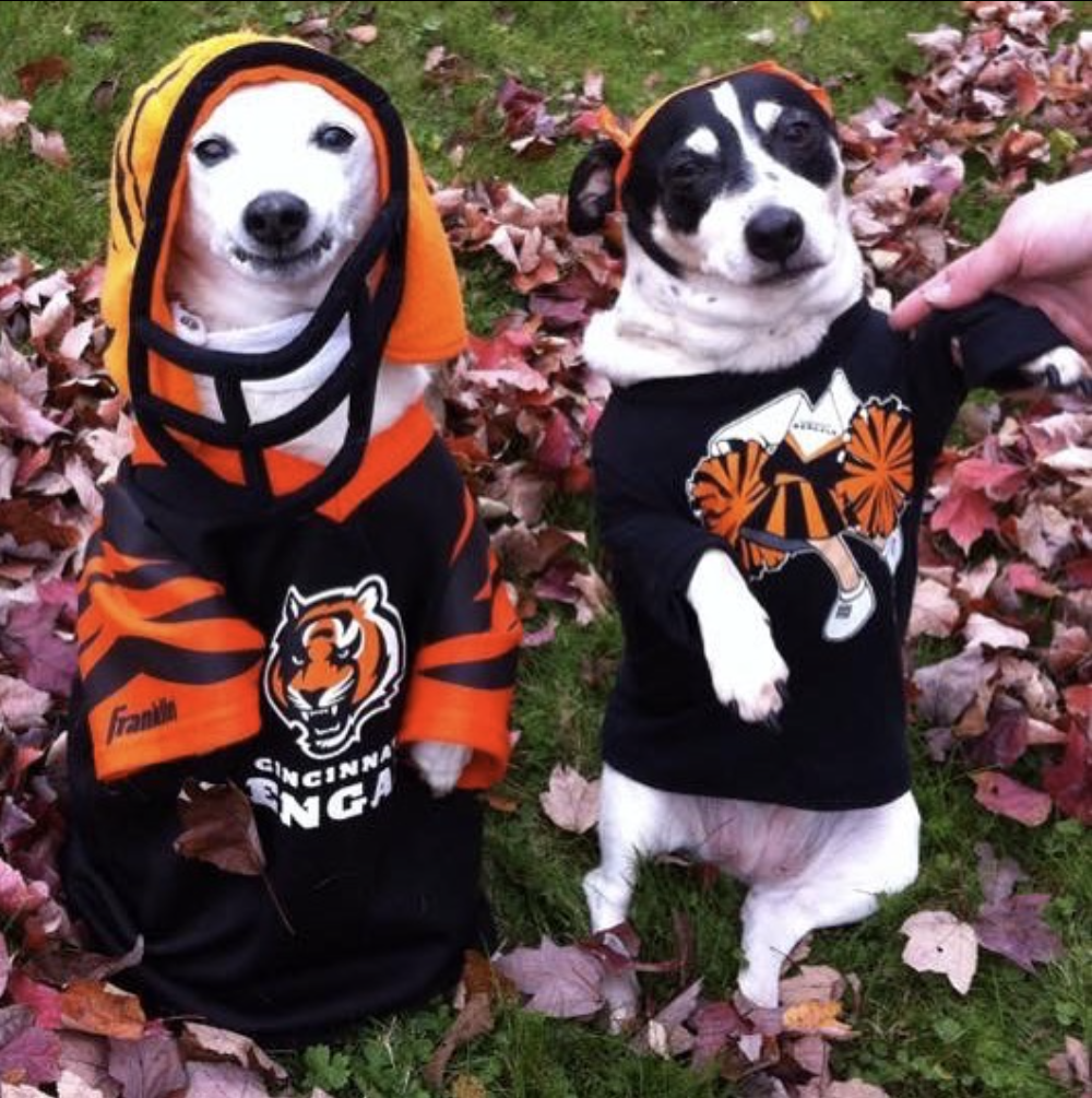 Who-Dey Let the Dogs Out