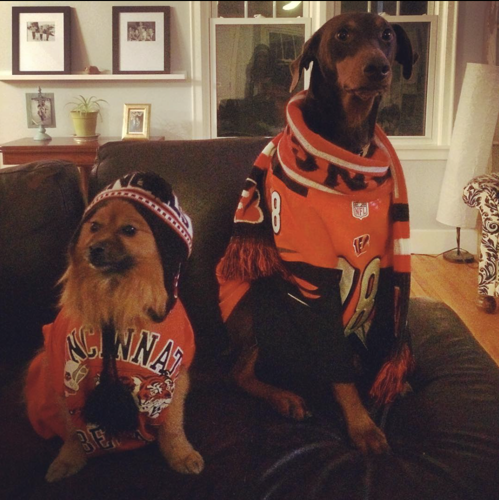 Who-Dey Let The Dogs Out