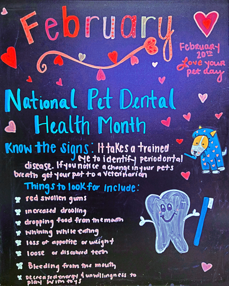 National Pet Dental Health Month