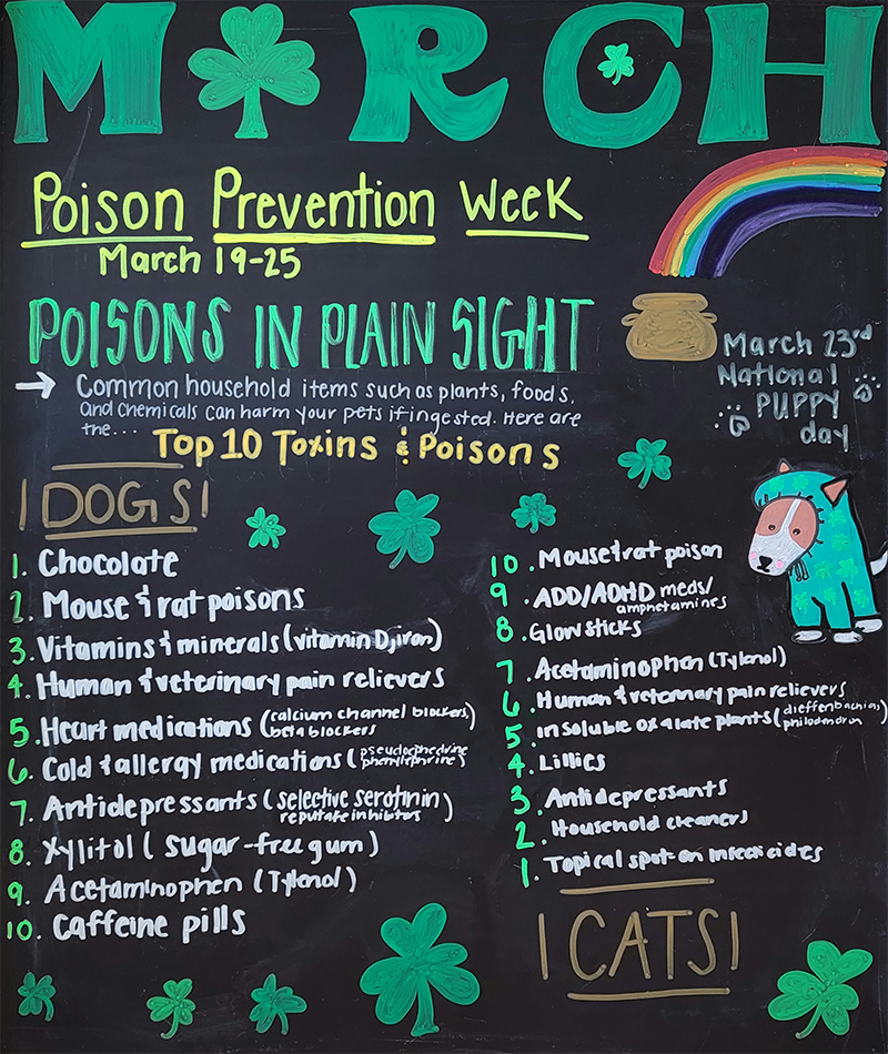 Pet Poisons in Plain Sight
