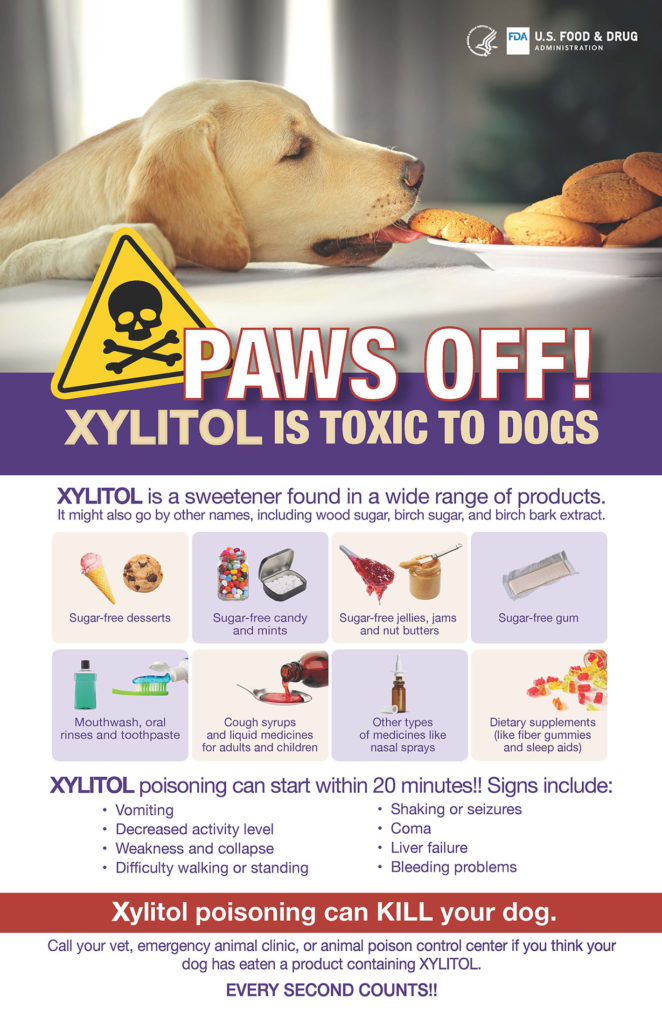 Why is Xylitol Toxic for Dogs?