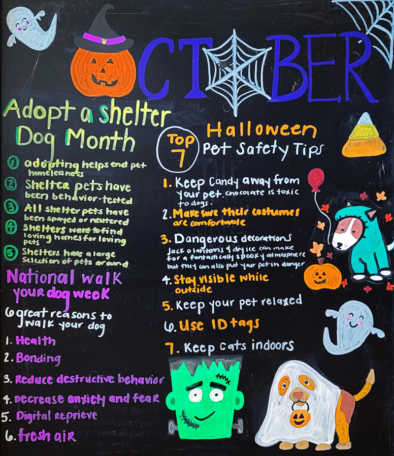 Top 7 Halloween Pet Safety Tips