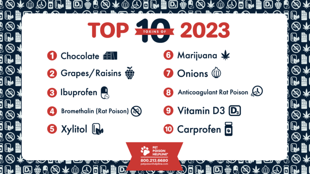 2023's Top 10 Pet Poisons