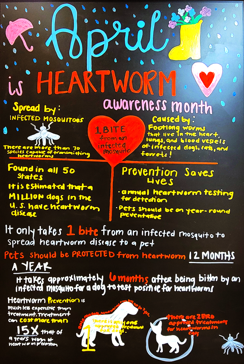 Heartworm Prevention: Be Aware!