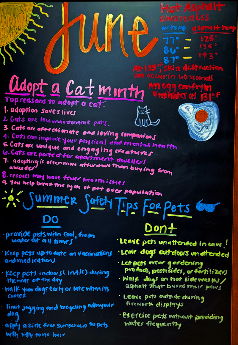 Summer Safety Tips for Pets: Welcome to June!