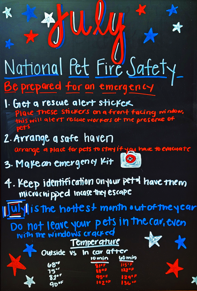 National Pet Fire Safety