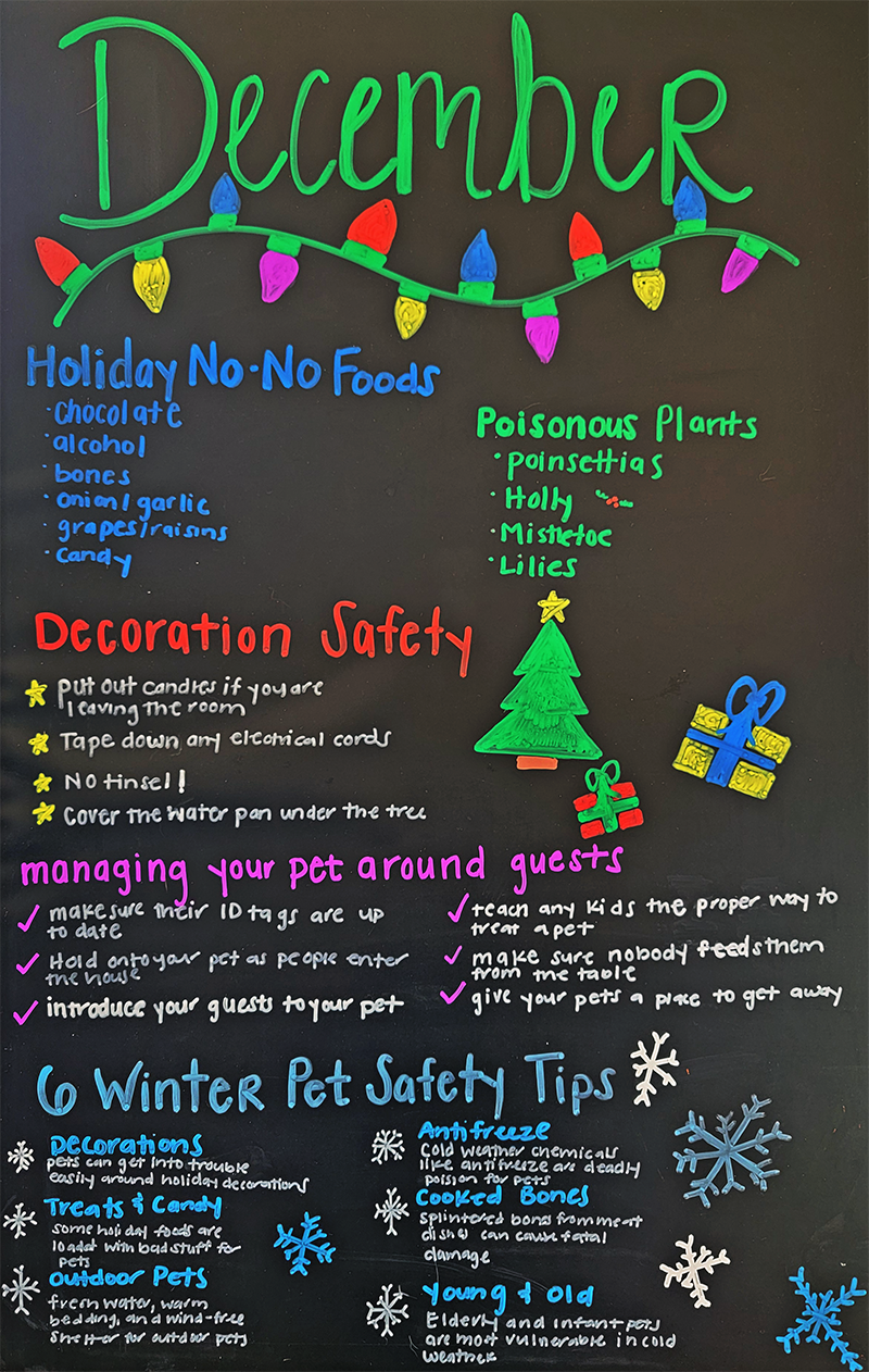 Holiday Pet Safety Tips