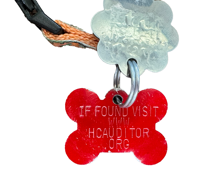 4 Ways to ID Your Pet for Peace of Mind