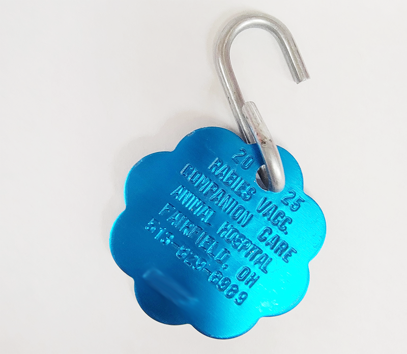 4 Ways to ID Your Pet for Peace of Mind