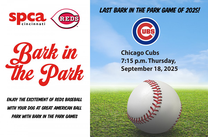 4 Cincinnati Dog-Friendly Events in September 2025