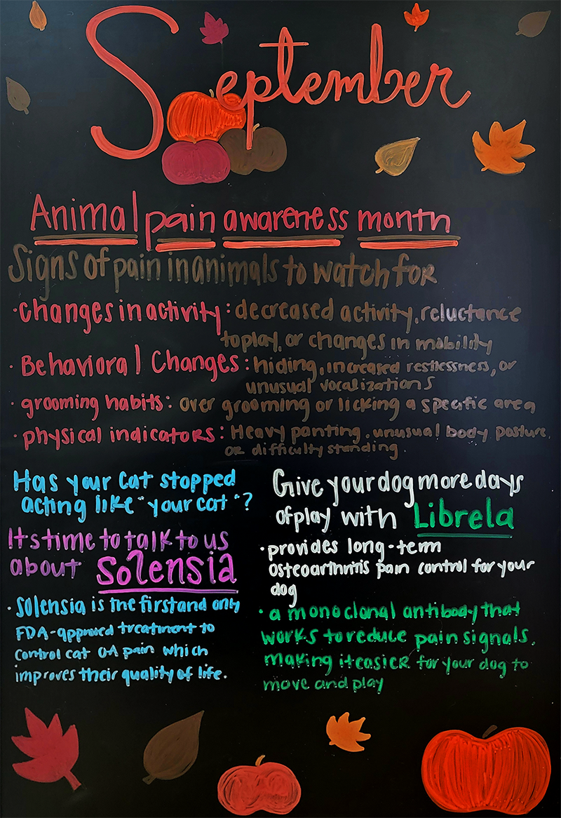 Animal Pain Awareness Month for September