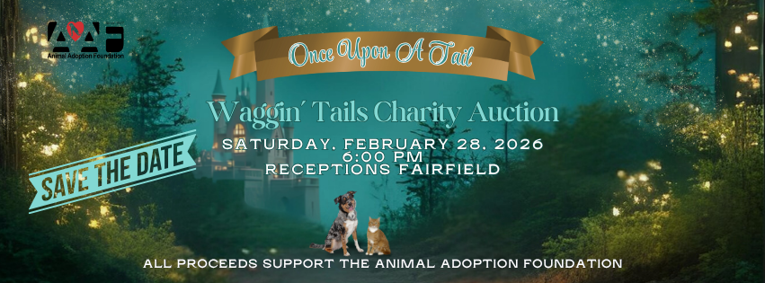 How to Help Animal Adoption Foundation