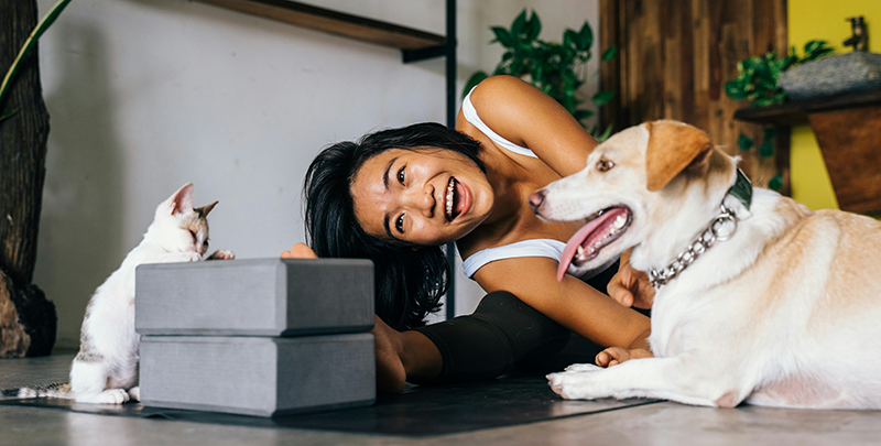 How Will My Senior Pet's Behavior Change?