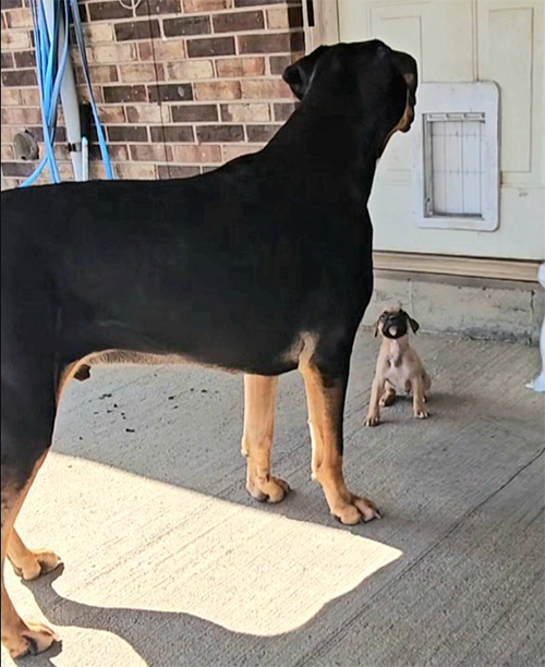 A Grateful Look at the Year Almost Past