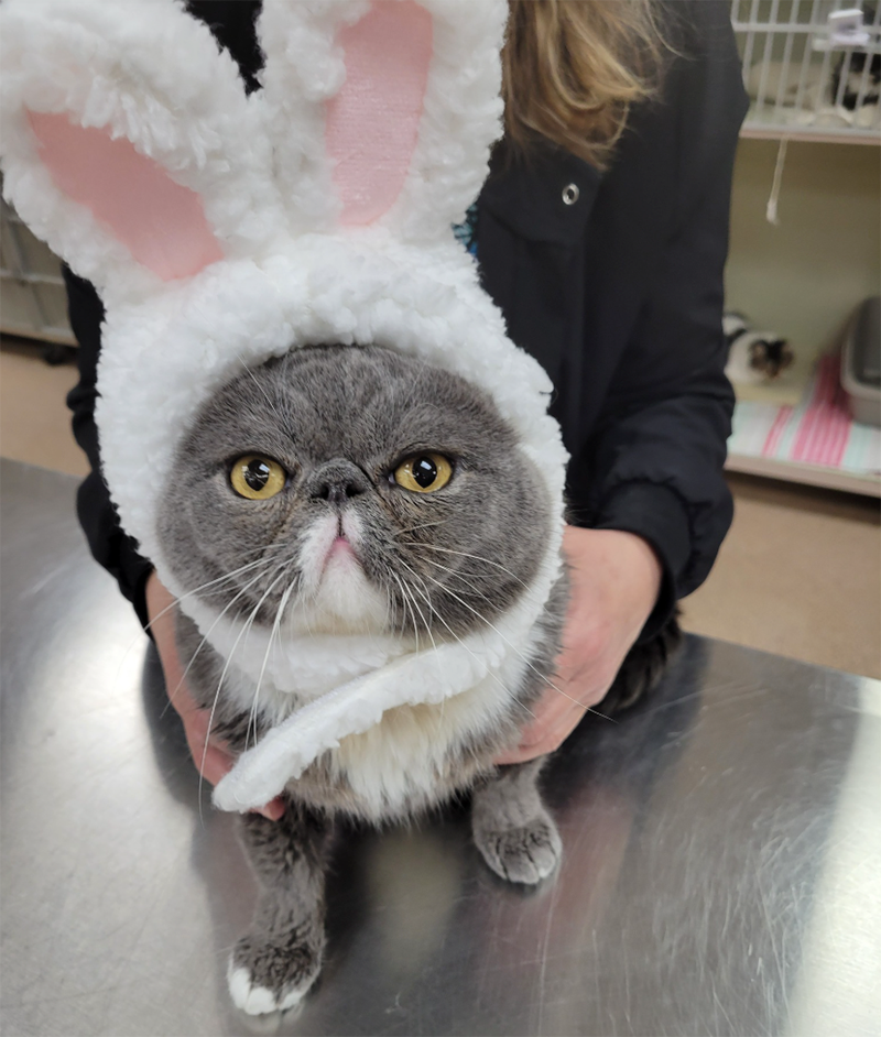 A Grateful Look at the Year Almost Past