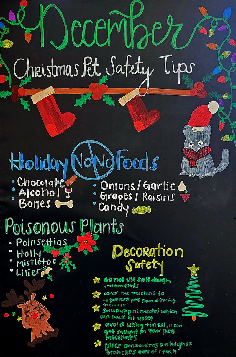 Christmas Safety Tips