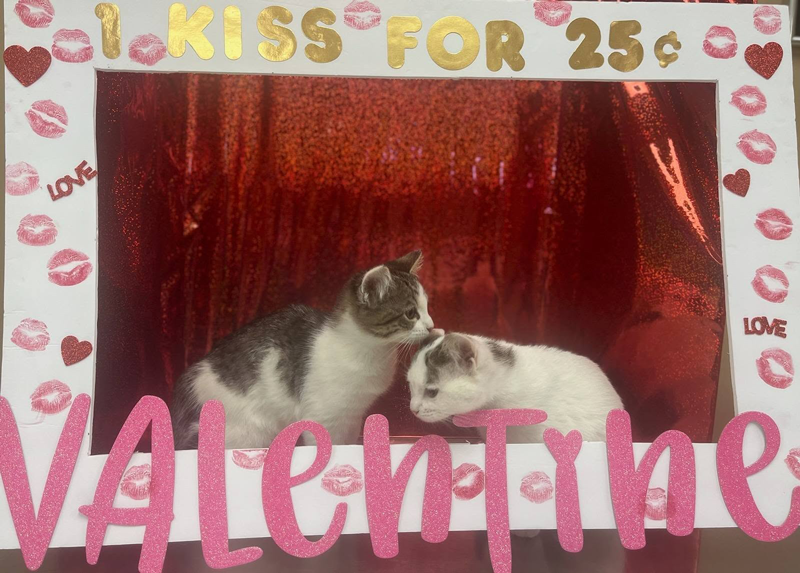 Mozzie and Neal stopped by today and volunteered for our kissing booth! It was a fun way to end their appointment. 