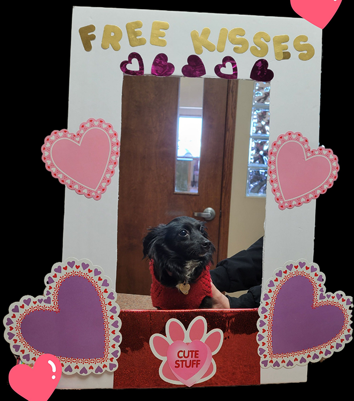We had some more volunteers for our kissing booth! Are they not adorable!