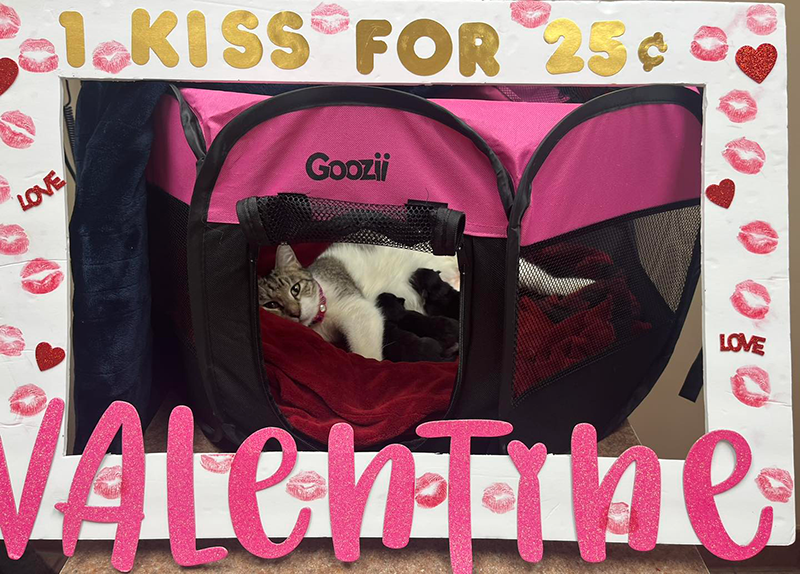 We had some more volunteers for our kissing booth! Are they not adorable!