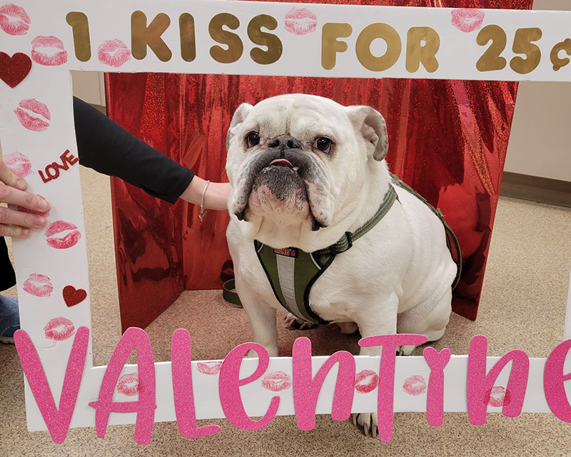 We had some more volunteers for our kissing booth! Are they not adorable!