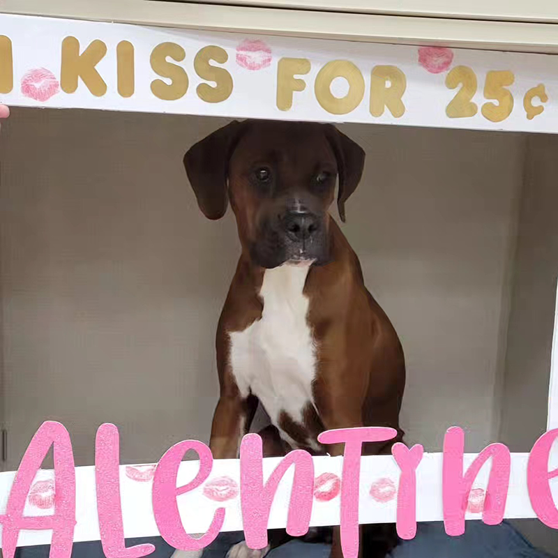 We had some more volunteers for our kissing booth! Are they not adorable!