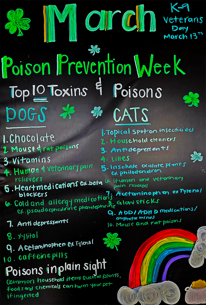 Poison Prevention Week: Top 10 Toxins