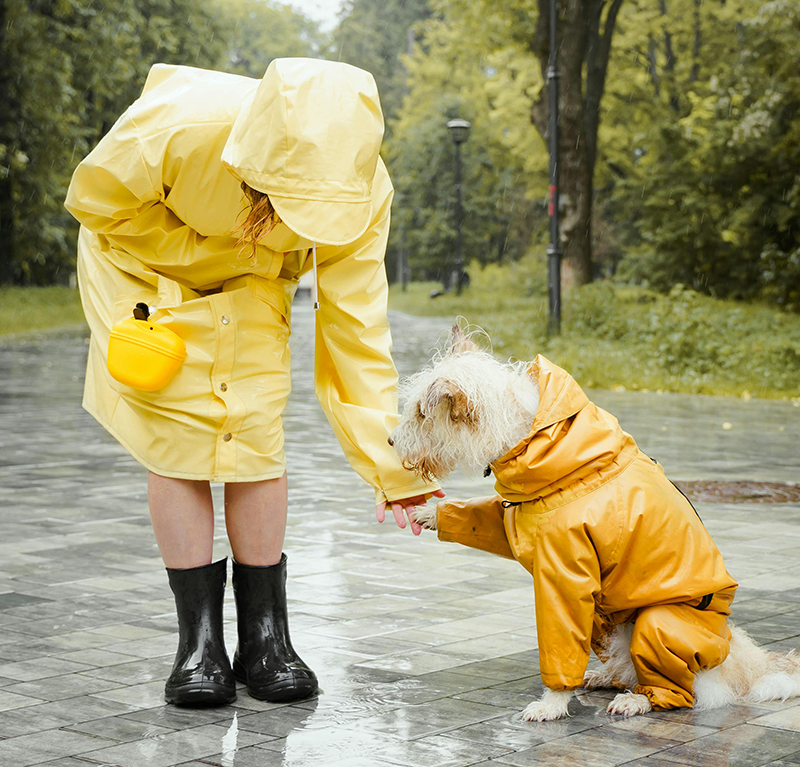 National Pet Month in May