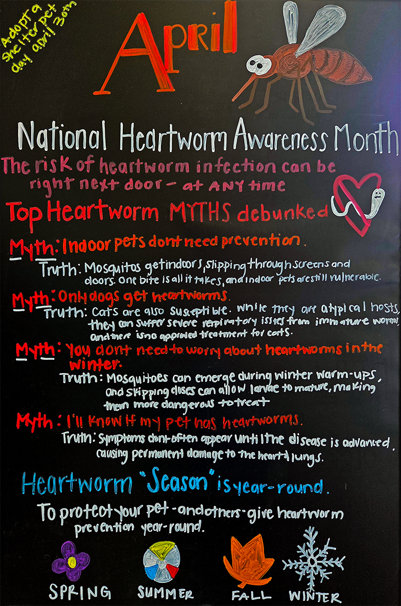 National Heartworm Awareness Month 2026