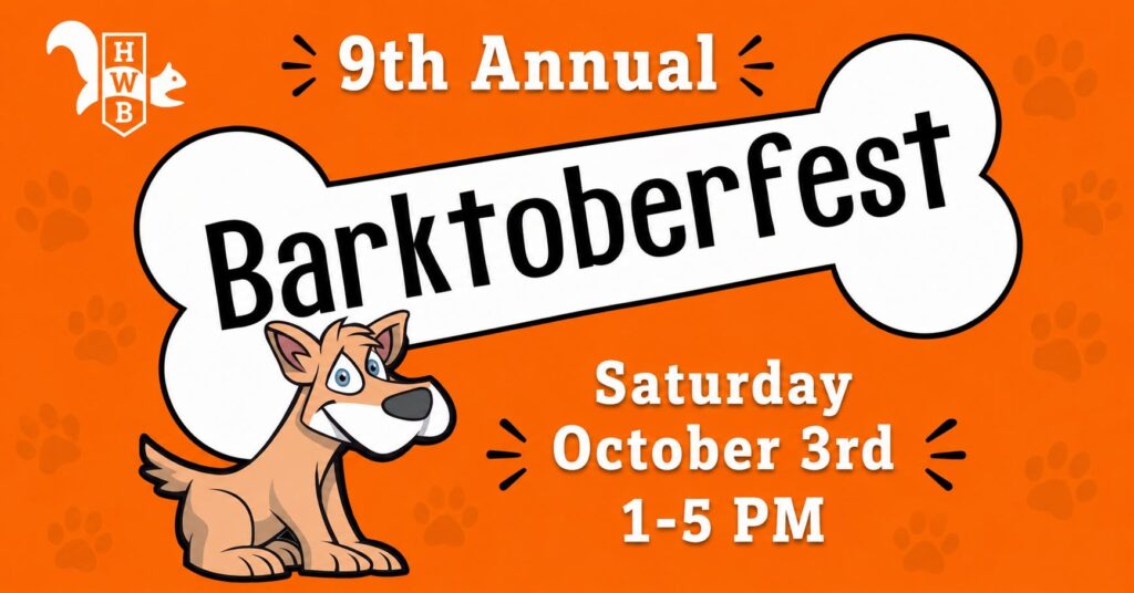 Fall in Love with These Pet-Friendly Events