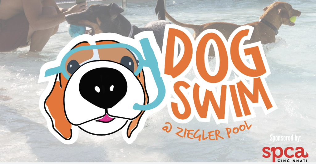 Fall in Love with These Pet-Friendly Events