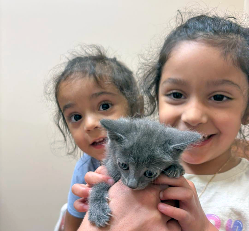 National Immunization Awareness Month