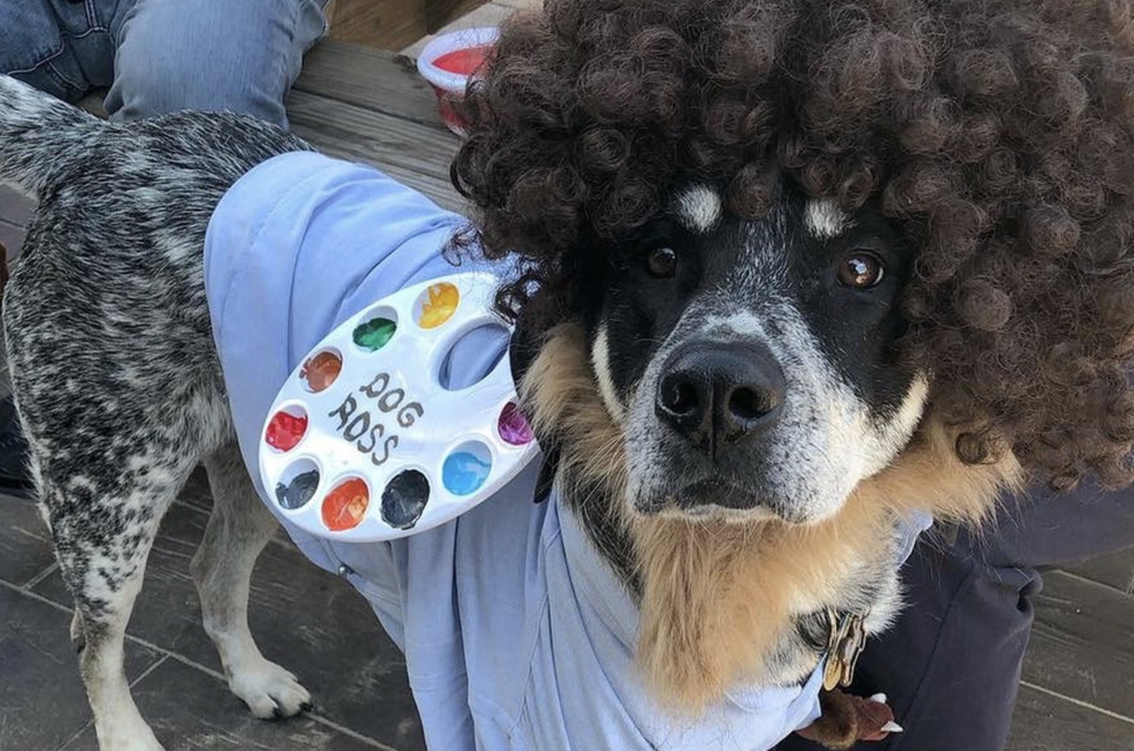 Fall in Love with These Pet-Friendly Events
